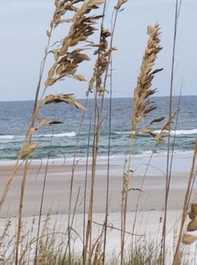 Aparthotel Island Life St. Augustine Beach Esterno foto